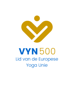 VYN 2022 logo 500 kleur RGB 1